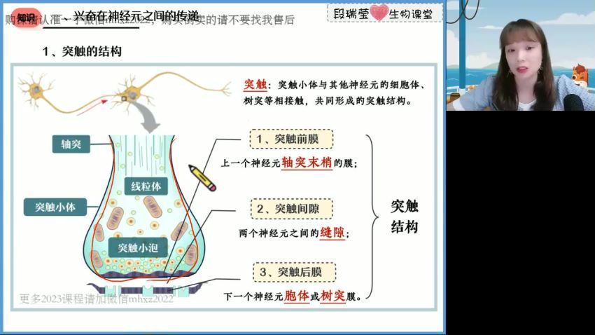 2023高徒高二生物段瑞莹秋季班，百度网盘(1.55G)