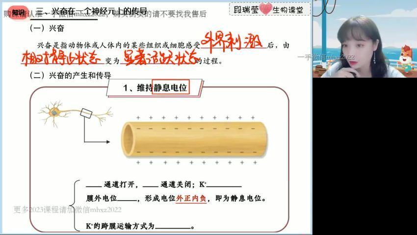 2023高徒高二生物段瑞莹暑假班，百度网盘(1.85G)