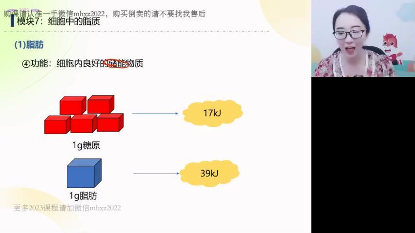 2023高徒高一生物马阳洋暑假班，百度网盘(1.85G)