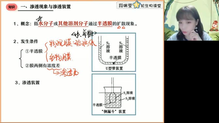 2023高徒高三生物段瑞莹（箐英班）暑假班，百度网盘(3.00G)