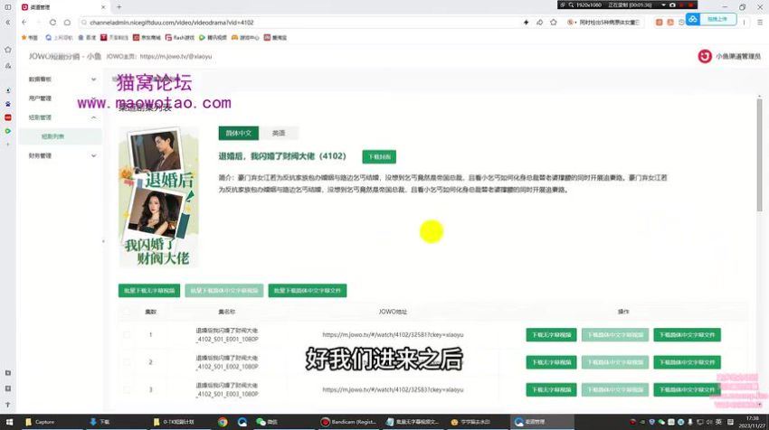 TikTok短剧出海干美金，商业已经闭环抓紧布局，抢占关键词抢占排名，百度网盘(85.20M)